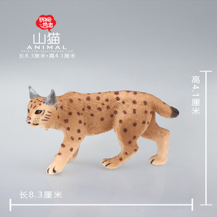 玩物尚志猞猁模型仿真野生动物玩具山猫儿童认知益智