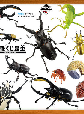 一番赏昆虫模型手办景品