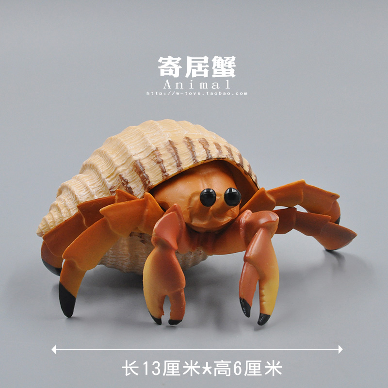 海洋动物玩具模型寄居蟹