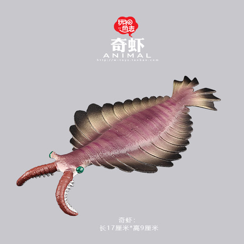 史前海洋纪元霸主奇虾海蝎远古生物超级巨兽寒武纪