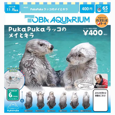 PukaPuka水族馆可爱的海獭