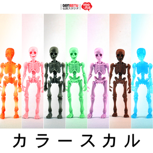 骷髅人模型骨架 ment日本正版 盒装 18可动人偶 彩色骨头先生1