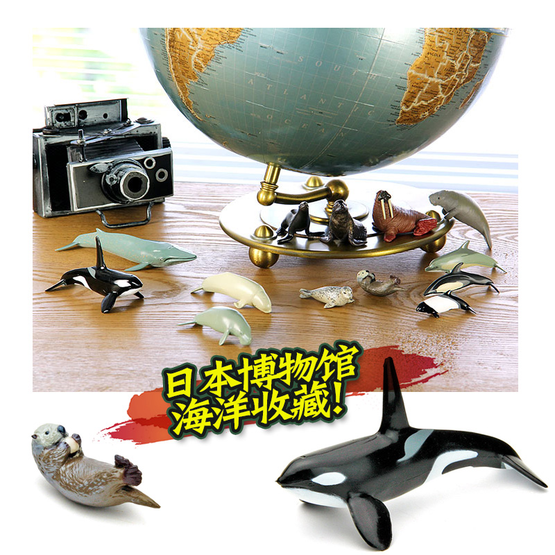 日本蝴蝶模型仿真儿童海洋动物