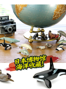 Colorata日本蝴蝶社海洋动物玩具模型仿真极地海豚鲸鱼鲨鱼儿童E5
