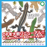 Qi Tan Club Kitan Lizard Gecko Gecko Guard Palace травяная лазарная холодильная наклейка и магазин подвесной японский подлинный объемный груз