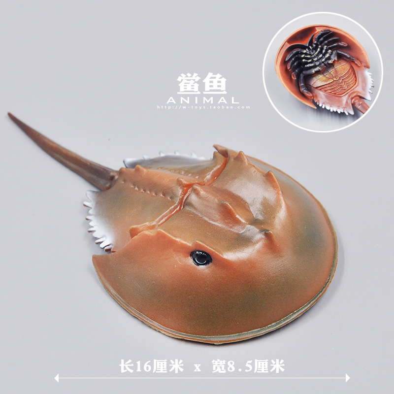儿童仿真海洋动物玩具模型 鲎鱼模型