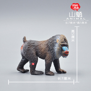 动物模型玩具 山魈