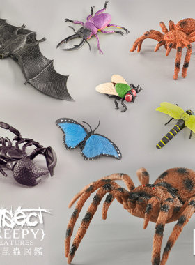 昆虫模型儿童仿真动物玩具