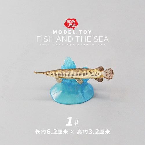 正版散货koro日本仿真鳄雀鳝模型
