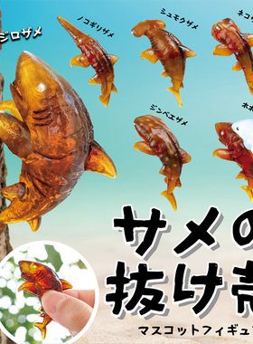 鲨脱壳树上的鲨鱼大白鲨