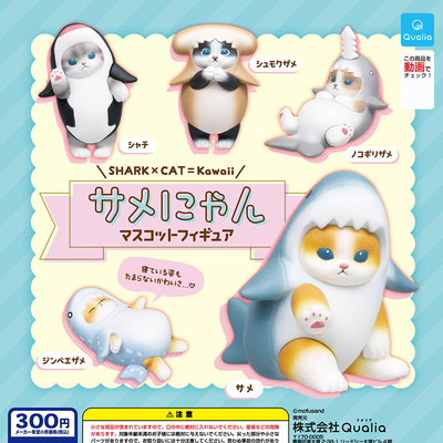 萌宠可爱的鲨鱼猫咪猫鲨