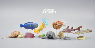 日本正版散货！生态造形图馆 海洋动物模型 鹦鹉螺水族馆限定F5