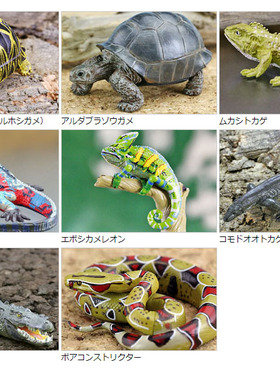 Colorata日本蝴蝶社正品动物模型仿真玩具野生爬行蜥蜴鳄鱼龟蛇