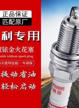 适配吉利帝豪GS GL EC7博瑞博越PRO金刚远景X6 S1 X3双铱金火花塞