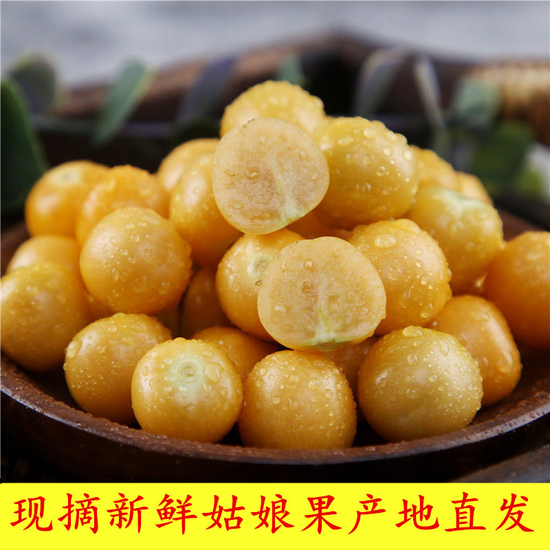 顺丰新鲜水果东北产特产现摘姑娘果灯笼果大小果3产地直发5黄菇娘