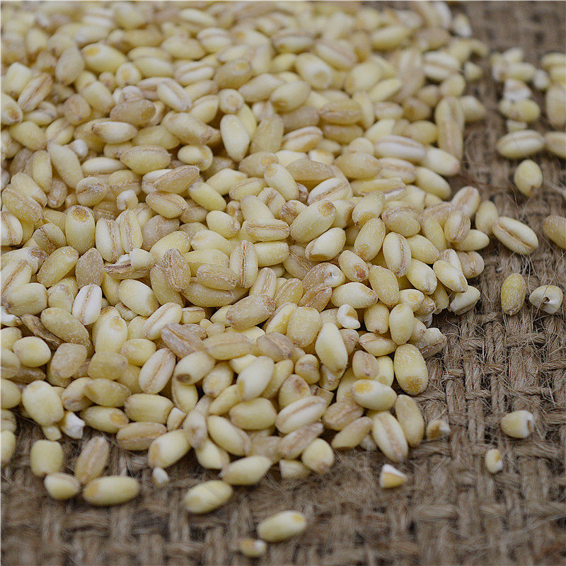 吴畏家 东北农家去皮大麦米大麦仁米粒 粗粮八宝粥五谷杂粮250g