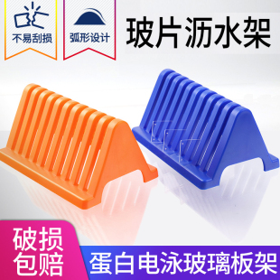 WB玻璃板支架 电泳玻璃板晾干架 干燥架 沥水架 伯乐天能六一