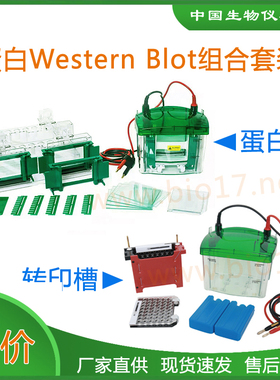 伯乐biorad转膜电泳槽WesternBlot组合WB套装转印电泳1658031国产