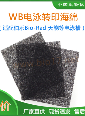 WB转印海绵垫转膜绵伯乐天能六一黑色白色海绵bio-rad1703933