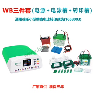 Rad电泳槽 WB电泳槽 Bio Blot套装 转印槽国产 垂直电泳Western