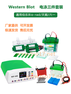 wb电泳套装 wb电泳槽 wb电泳仪 伯乐Mini Trans-Blot1658033国产