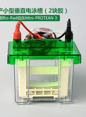 Bio-Rad伯乐Mini-PROTEAN 3 卡槽电极芯固定架上盖电泳槽老款国产