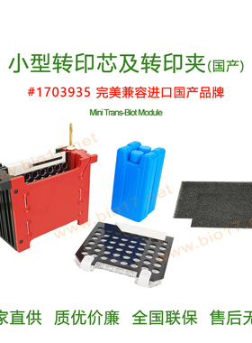 小型转印芯及转印夹 伯乐bio-rad  转印芯 转印夹1703935 国产
