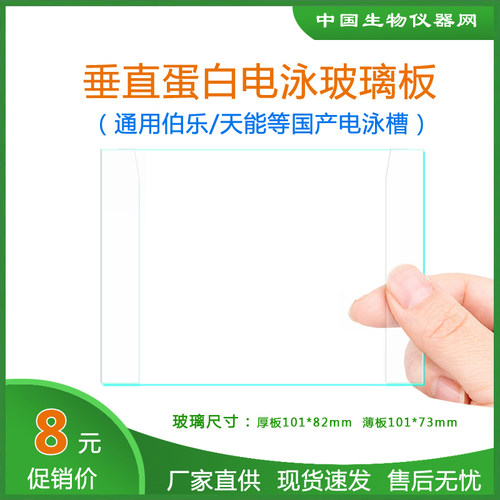WB玻璃板伯乐天能六一电泳玻璃板