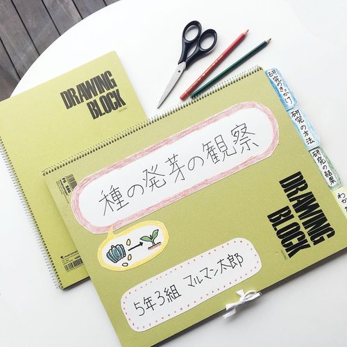 包邮日本maruman满乐文绘画