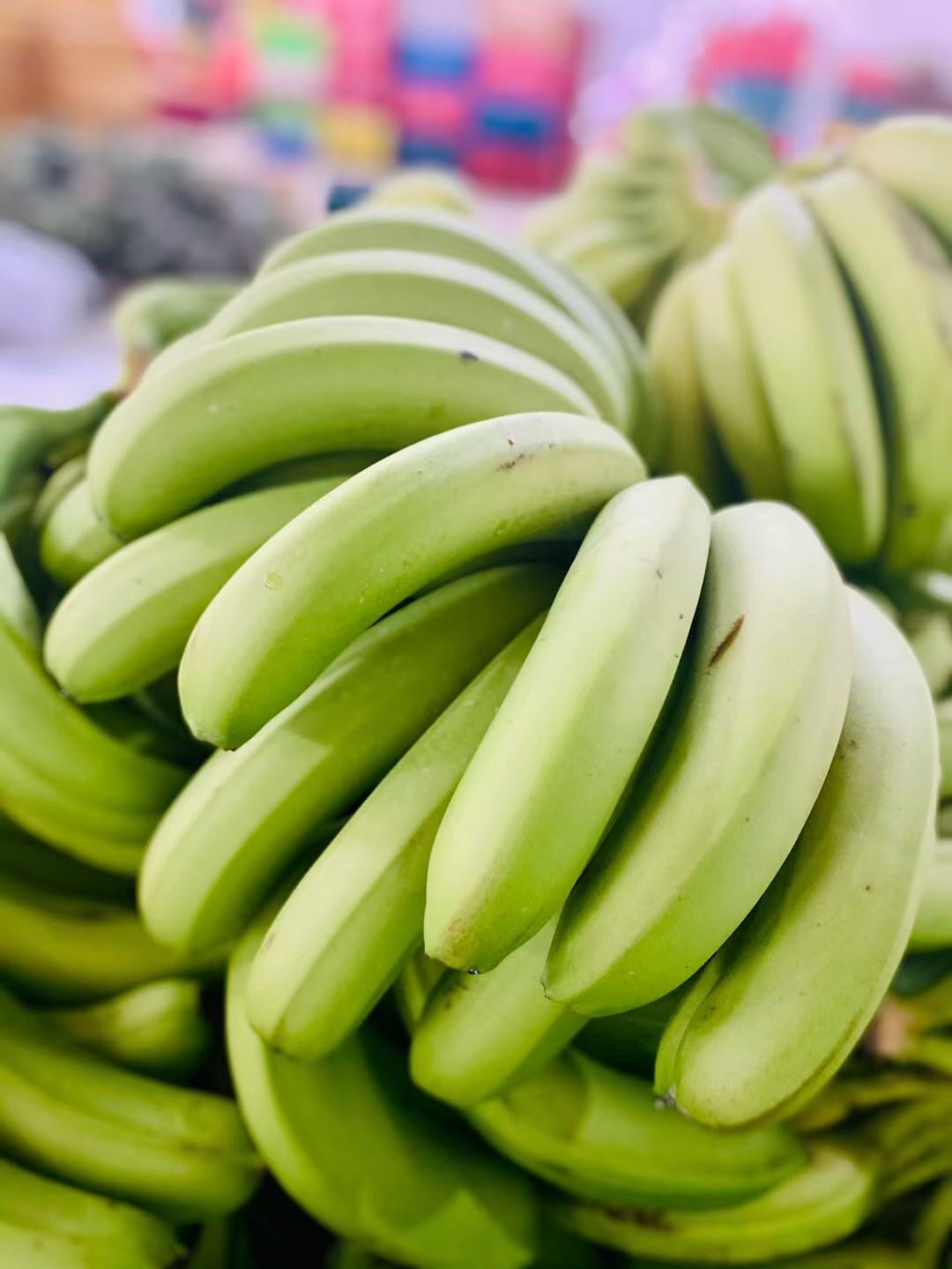 云南省西双版纳州海南食用威廉斯香蕉5斤9斤芭蕉当季新鲜水果包邮