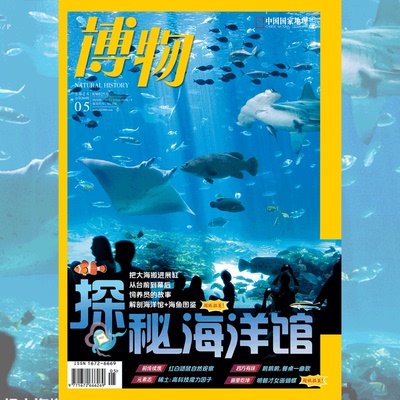 博物杂志2026年5月刊+拉页