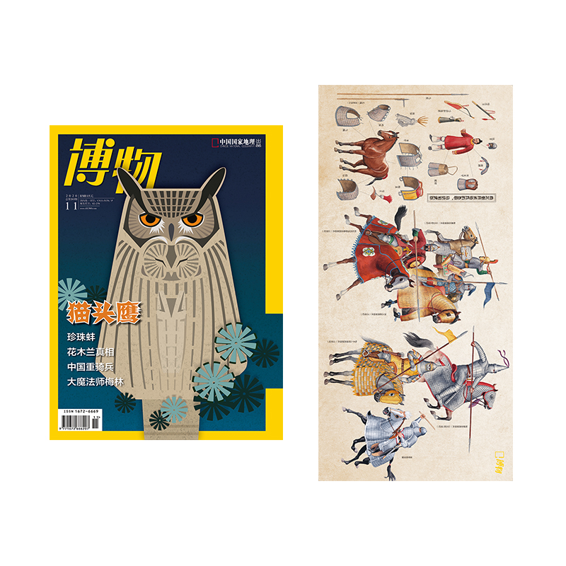 【赠重装骑兵海报】【202011】猫头鹰 博物杂志2020年11月 正版期刊 原版杂志 旗舰店直营  包邮