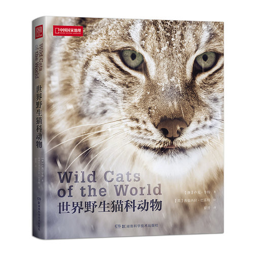 世界野生猫科动物 猫盟cfca推荐 百科全书 野生哺乳动物猫科动物品种大全图鉴图片书籍
