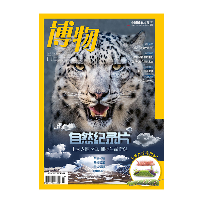 博物杂志2022年11月刊