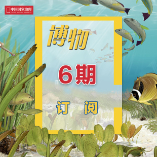 包邮 杂志 期刊 博物 正版 2024年4月起 博物半年 6期订阅 杂志社直营D1