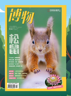【202404】松鼠 博物杂志2024年4月刊 海洋大学海渔专业 南非植物 巨齿鲨 黄金 韭菜 职贡图  中国国家地理旗舰店