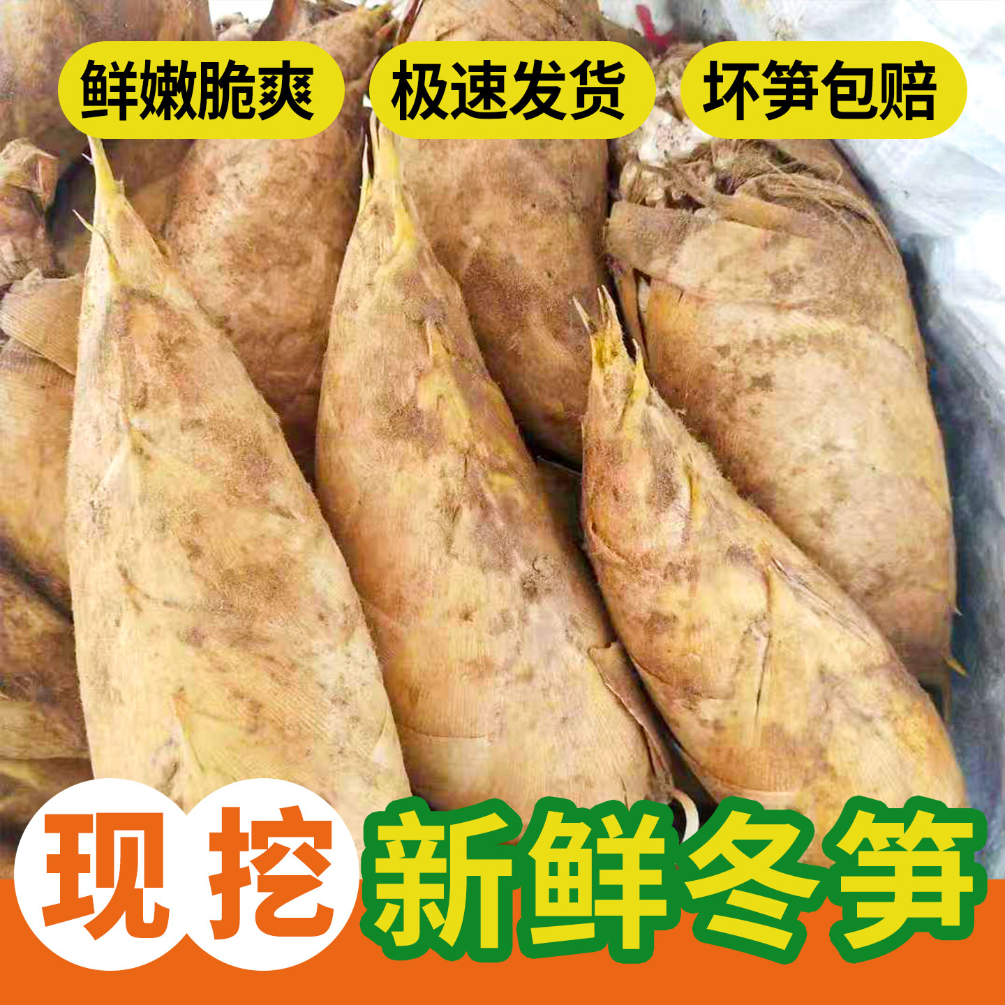 新鲜冬笋野生鲜竹笋农家现挖湖南特产黄泥冬笋毛竹笋楠竹笋子批发