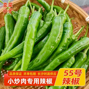 湖南本地新鲜55号辣椒软皮青椒小炒肉薄皮辣椒产地发货湘菜馆批发