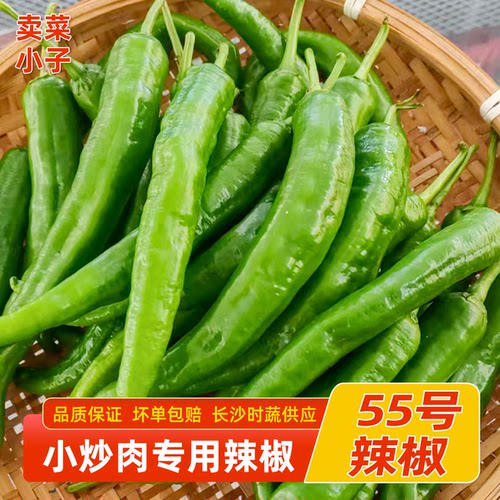 湖南本地新鲜55号辣椒软皮青辣椒