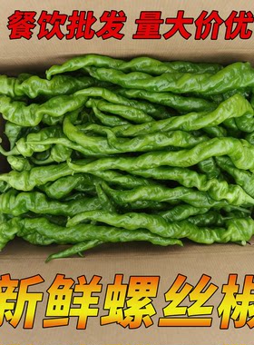 湖南螺丝椒本地新鲜青椒大螺丝椒皮薄皱皮小炒肉辣椒酒店食材批发