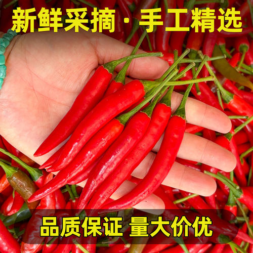 小米辣椒新鲜批发小米椒朝天椒特辣超辣薄皮土红辣椒尖椒指天椒