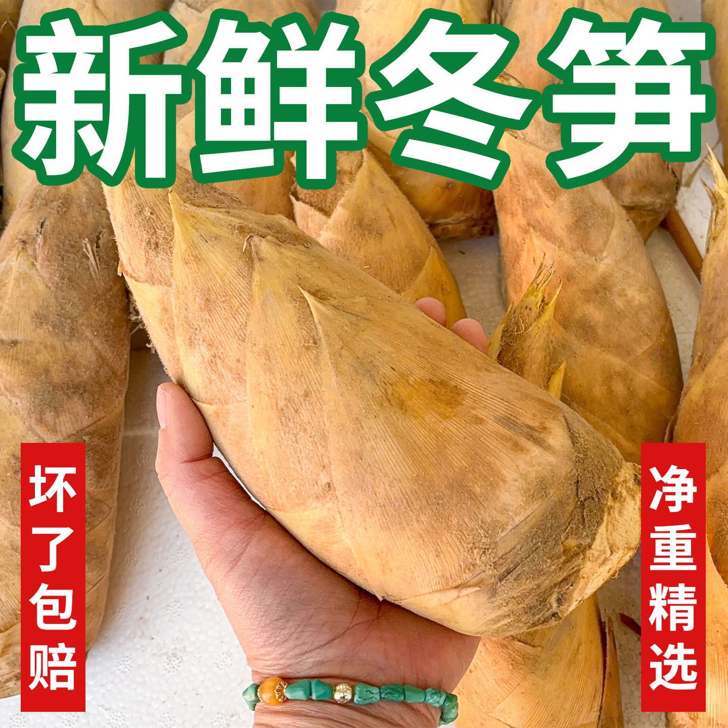 新鲜冬笋野生鲜竹笋农家现挖湖南特产黄泥冬笋毛竹笋楠竹笋子批发