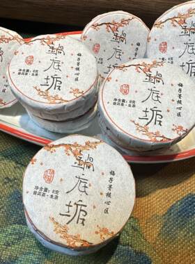 普洱生茶梅子箐核心区锅底塘8克小圆饼汤香水柔回甘持久2023年