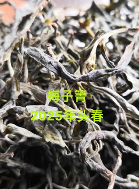馥郁梅香梅子箐古树茶2025年头春头采散茶 产地直销500克