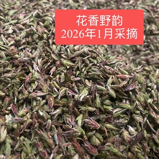 花香野韵 2026头春新茶正宗野生古树紫芽苞