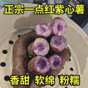 一点红番薯冰淇淋红薯沙地现挖干粉糯无丝香甜软糯紫心花心薯地瓜