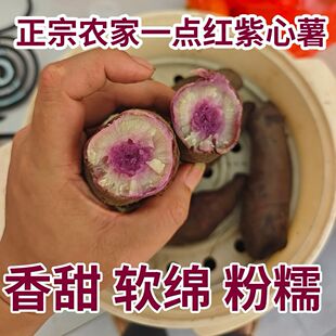 一点红番薯冰淇淋红薯沙地现挖干粉糯无丝香甜软糯紫心花心薯地瓜