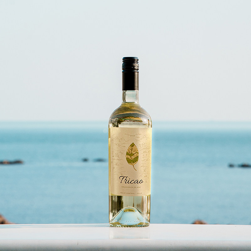清爽新鲜~智利进口叶迈长相思干白葡萄酒sauvignon blanc2023整箱