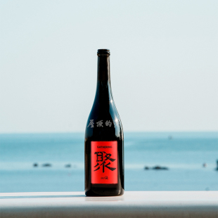 好喝 小圃酿造聚宁夏自然酒干红葡萄酒聚会团圆宴请送礼 国产酒