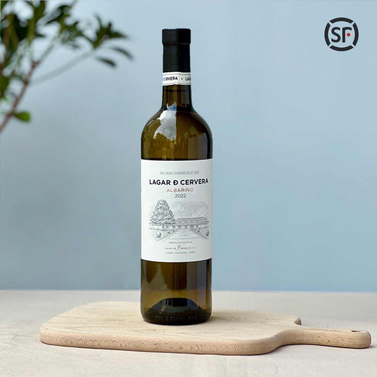 满满矿物感 西班牙橡树河畔施乐华下海湾Albarino干白葡萄酒